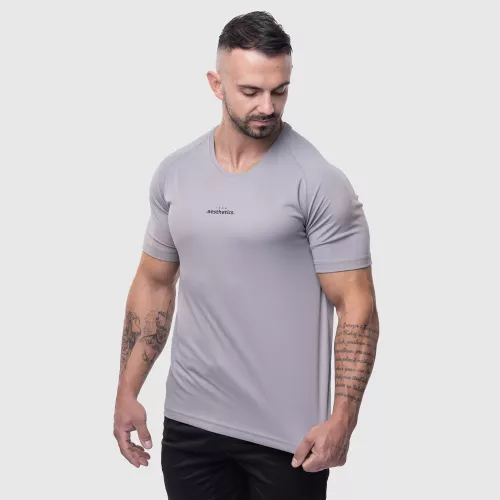 Pánské sportovní tričko Iron Aesthetics Training, šedé