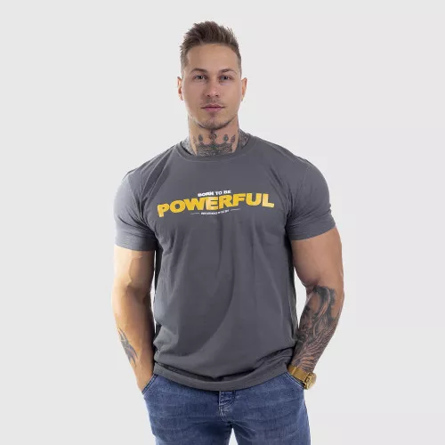 Ultrasoft tričko Iron Aesthetics Powerful, šedá