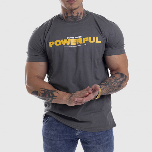 Ultrasoft tričko Iron Aesthetics Powerful, šedá