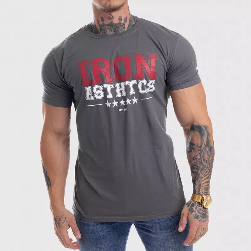 Pánské fitness tričko Iron Aesthetics VARSITY, šedé-1