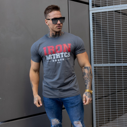 Pánské fitness tričko Iron Aesthetics VARSITY, šedé