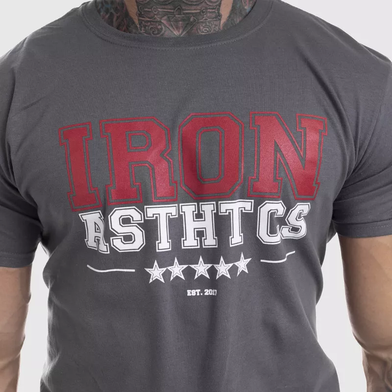 Pánské fitness tričko Iron Aesthetics VARSITY, šedé-3