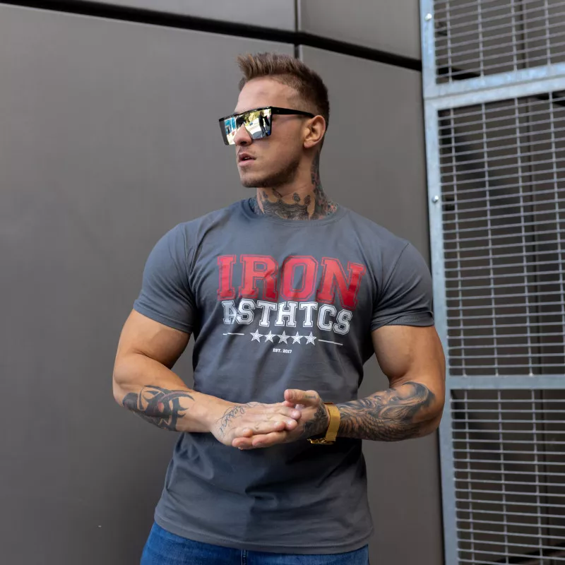 Pánské fitness tričko Iron Aesthetics VARSITY, šedé-6