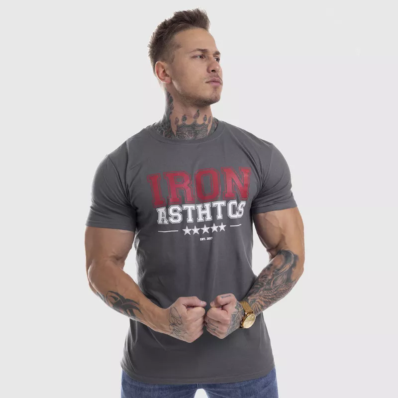 Pánské fitness tričko Iron Aesthetics VARSITY, šedé-7