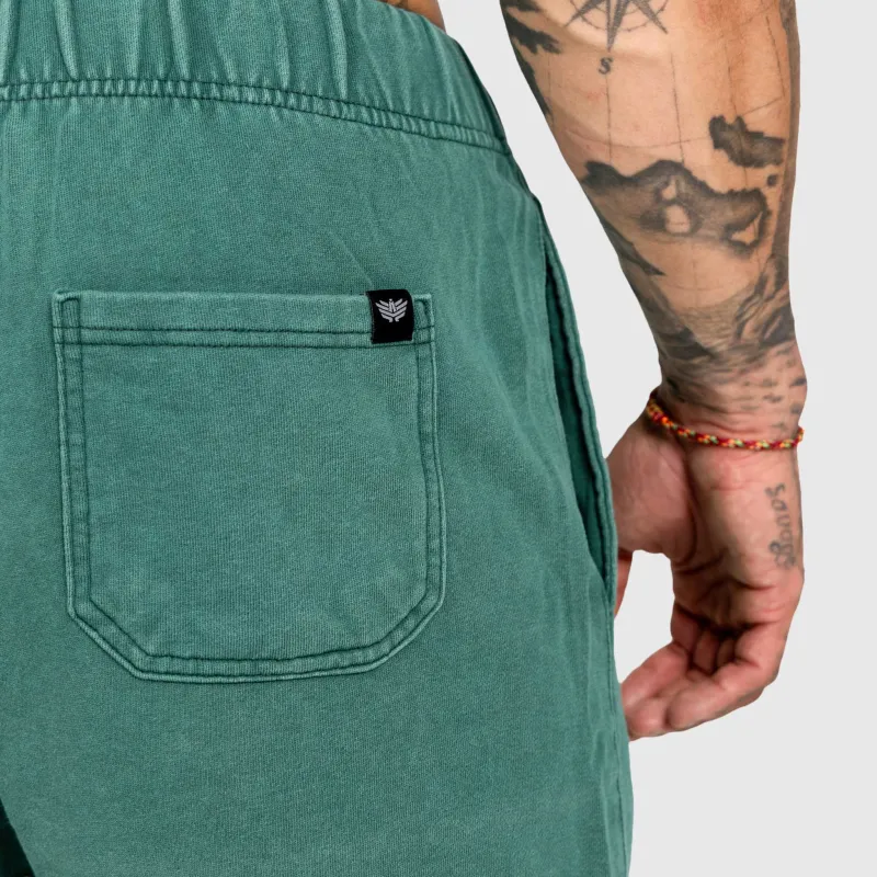 Pánské kraťasy Iron Aesthetics ASTHX, washed green-15