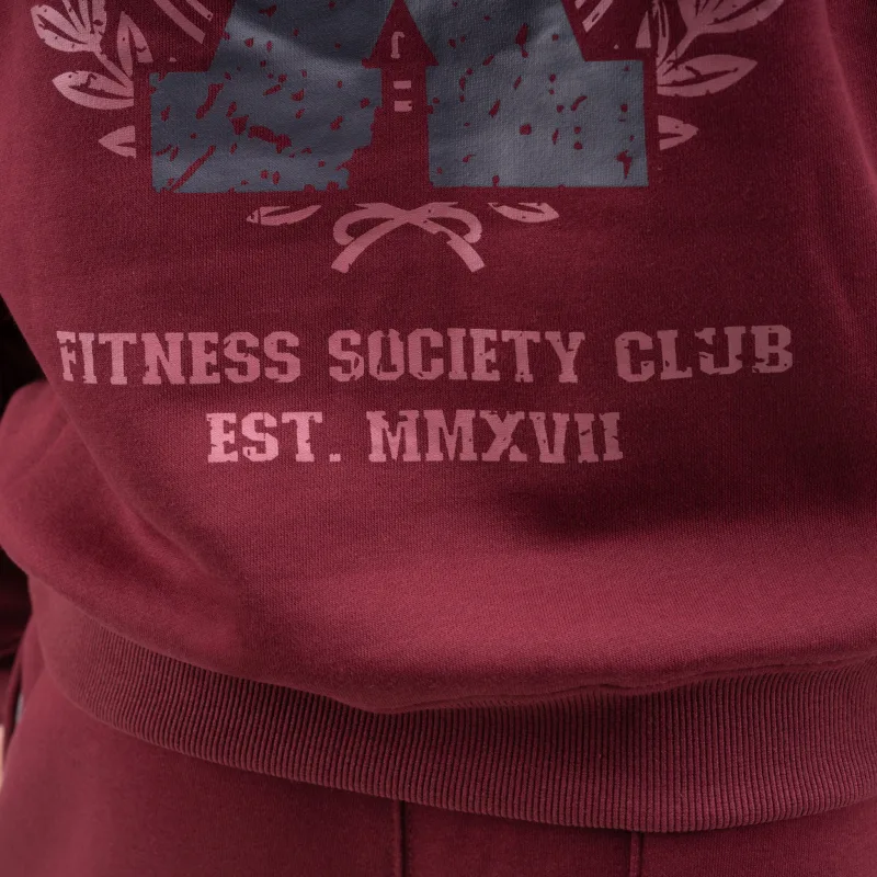 Pánská mikina Iron Aesthetics X-Society, bordová-11