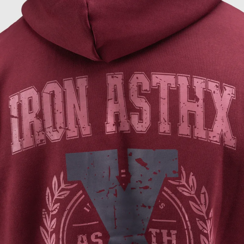 Pánská tepláková souprava Iron Aesthetics X-Society, bordová-14