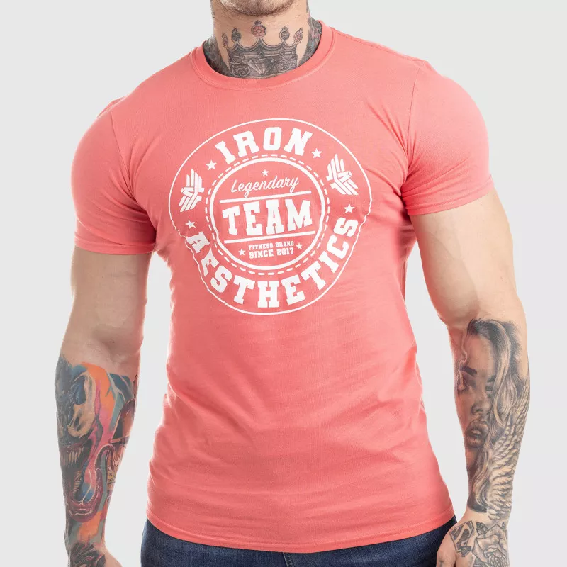 Pánské fitness tričko Iron Aesthetics Circle Star, růžové-1