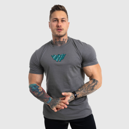 Ultrasoft tričko Iron Aesthetics FIST, šedé