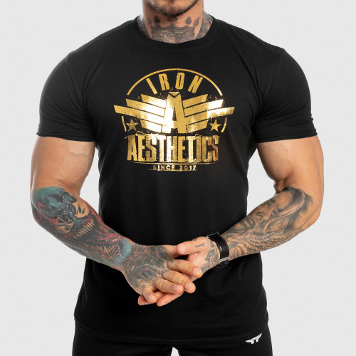 Pánské fitness tričko Iron Aesthetics Force, black&gold