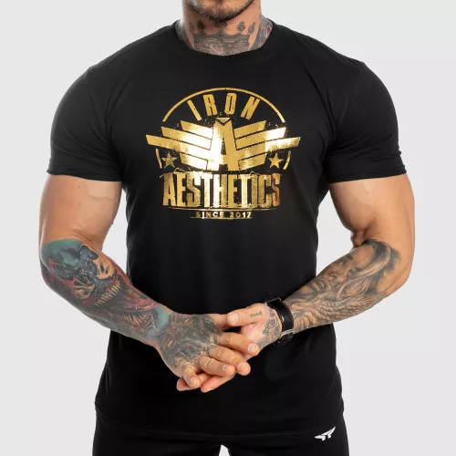Pánské fitness tričko Iron Aesthetics Force, black&gold
