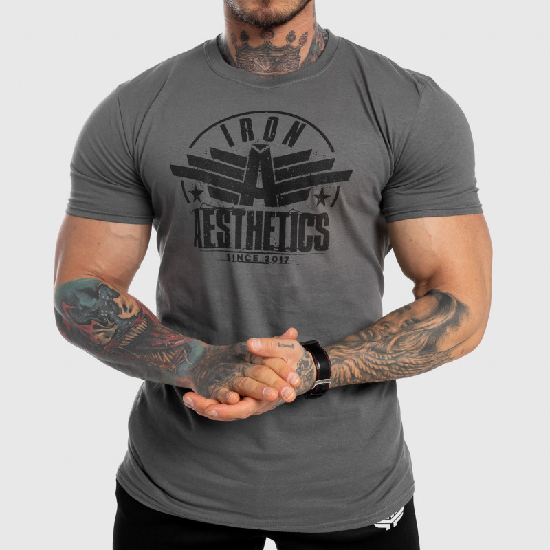 Pánské fitness tričko Iron Aesthetics Force, šedé-1
