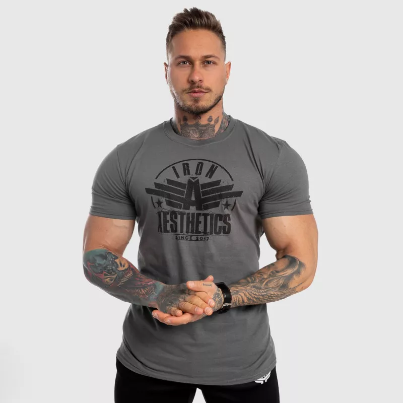 Pánské fitness tričko Iron Aesthetics Force, šedé-2