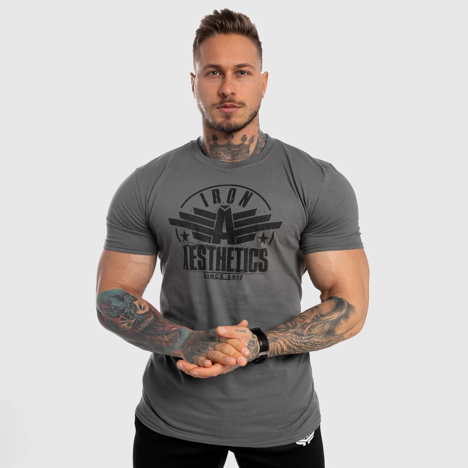 Pánské fitness tričko Iron Aesthetics Force, šedé-1