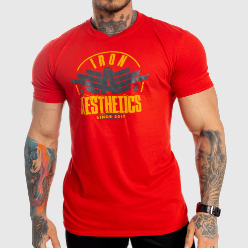 Pánské fitness tričko Iron Aesthetics Force, červené