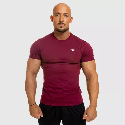 Pánské fitness tričko Iron Aesthetics Standard, bordové