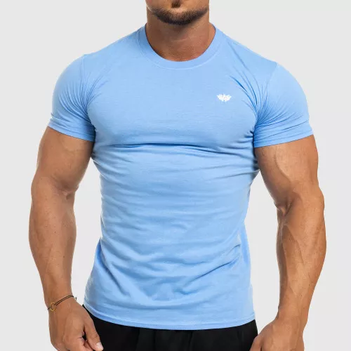 Pánské fitness tričko Iron Aesthetics Standard, modré