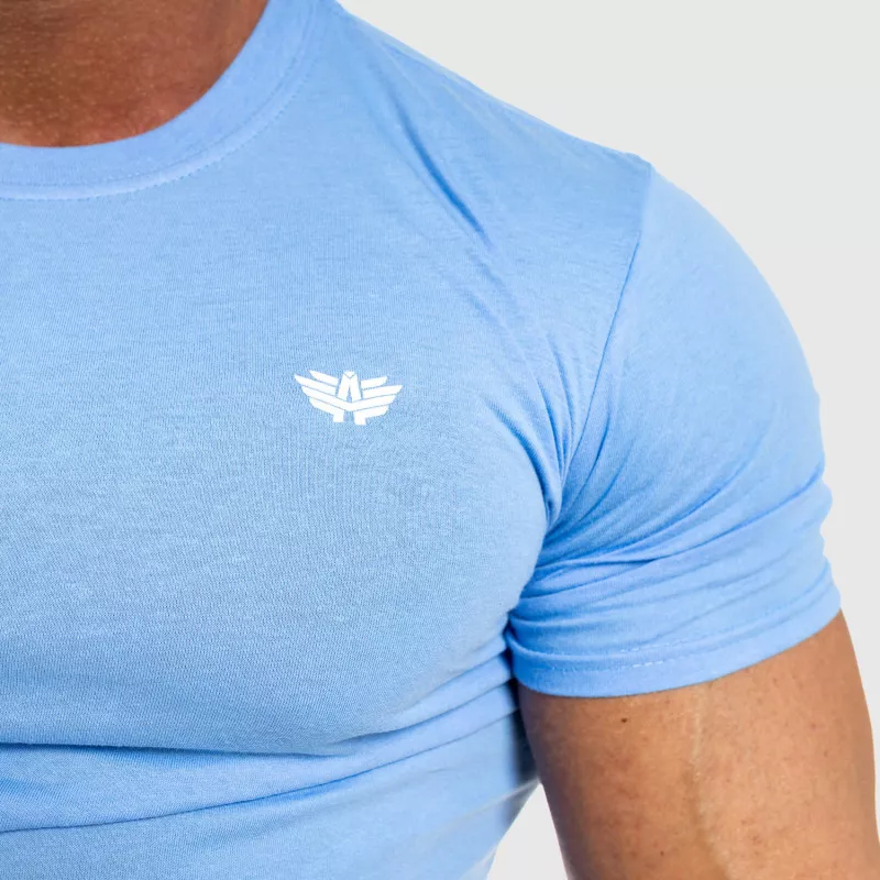 Pánské fitness tričko Iron Aesthetics Standard, modré-2