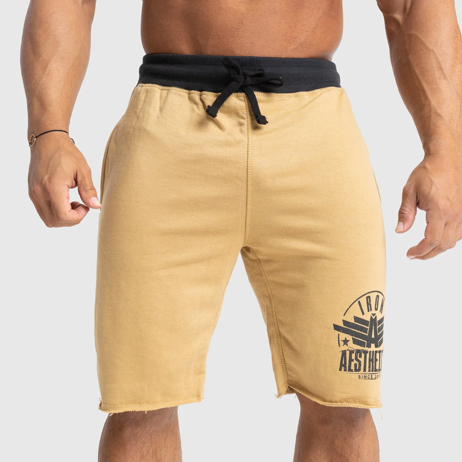 Pánské teplákové kraťasy Iron Aesthetics Force, pískové-1