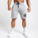 Pánske teplákové kraťasy Iron Aesthetics Force, sivé