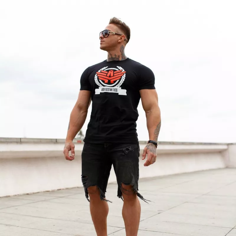 Pánské fitness tričko Iron Aesthetics Triumph, černé-4