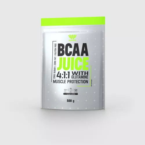 BCAA Juice 4:1:1 with Glutamine 500 g - Iron Aesthetics + Šejkr