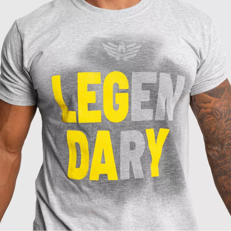 Pánské fitness tričko Iron Aesthetics Activated Leg Day, šedé-4
