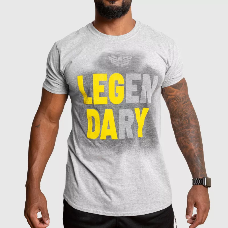 Pánské fitness tričko Iron Aesthetics Activated Leg Day, šedé-6