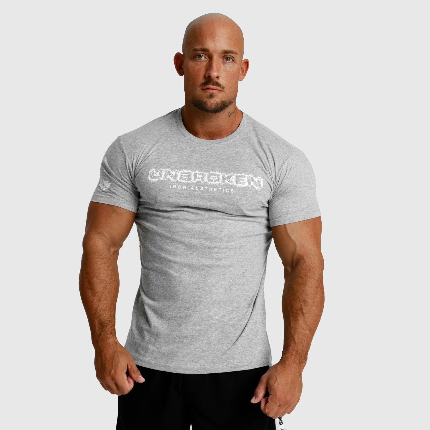 Pánské fitness tričko Iron Aesthetics Unbroken, šedé-1