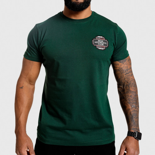 Pánské fitness tričko Iron Aesthetics Badge, zelené