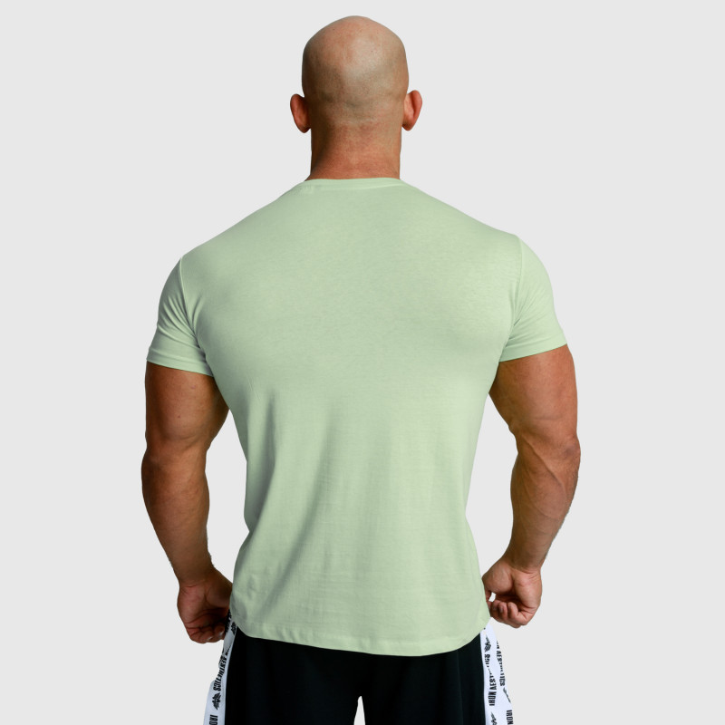 Pánské fitness tričko Iron Aesthetics Splash, zelené sage-4