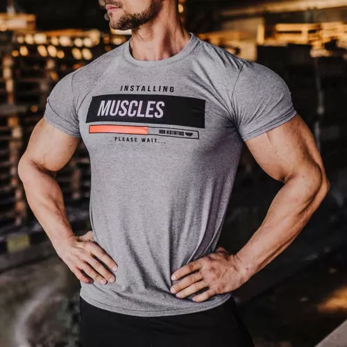 Pánské fitness tričko Iron Aesthetics Installing Muscles, šedé