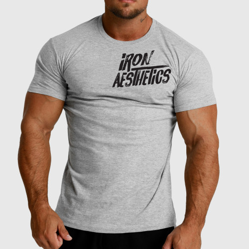Pánské fitness tričko Iron Aesthetics Splash, šedé