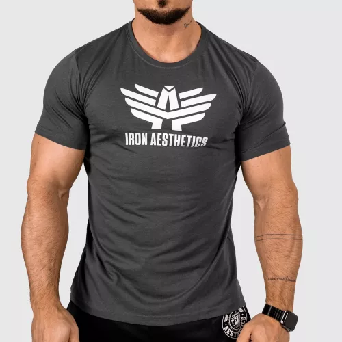 Pánské sportovní tričko Iron Aesthetics Fitsy, šedé