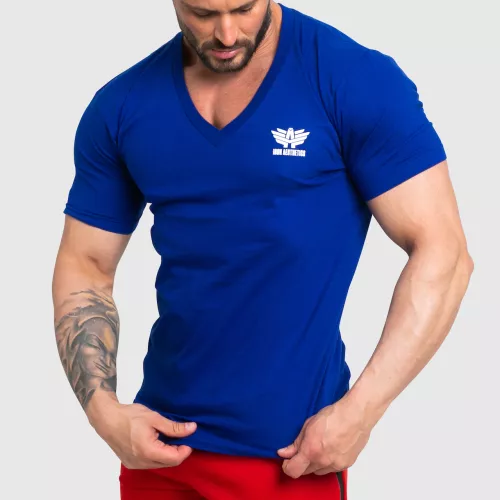 Pánské fitness tričko Iron Aesthetics Original V, modré