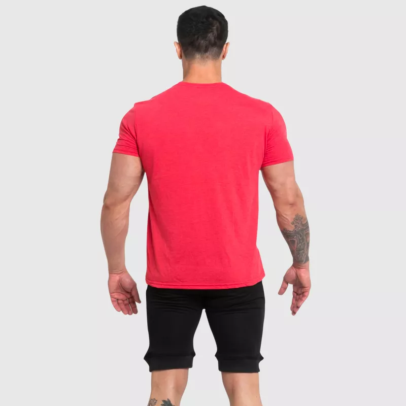 Pánské sportovní tričko Iron Aesthetics Vector, červené-6